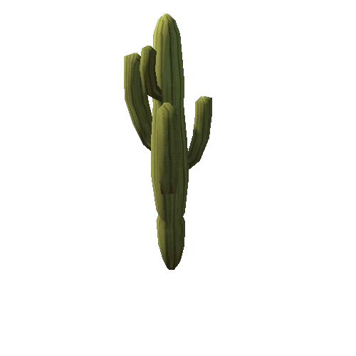 Cactus1_3