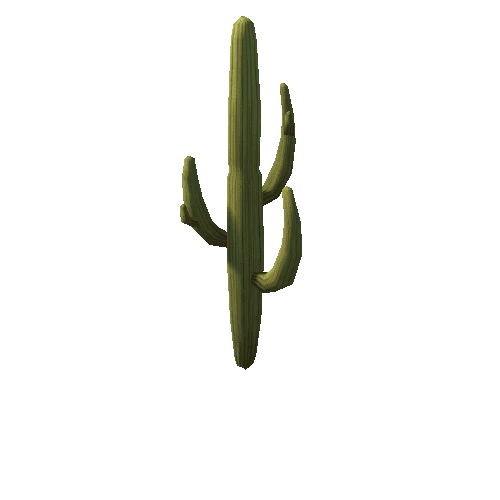 Cactus1_4