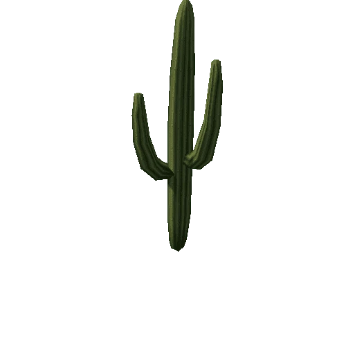 Cactus1_7