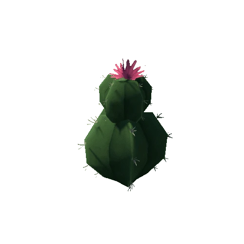 Cactus3_1