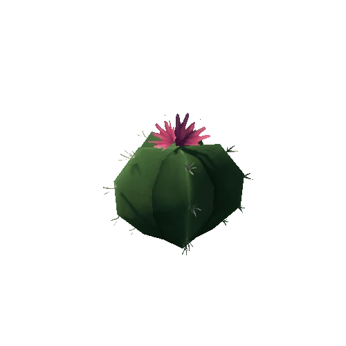 Cactus3_2