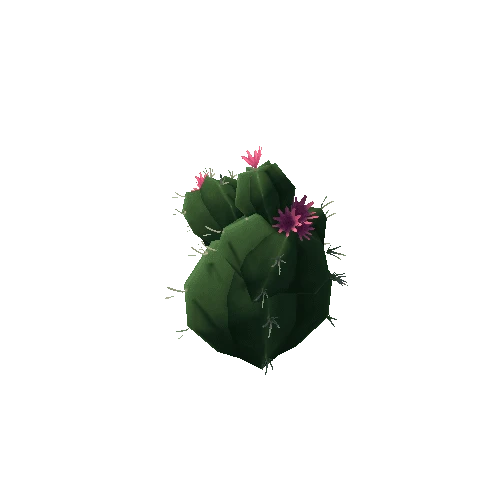 Cactus3_4