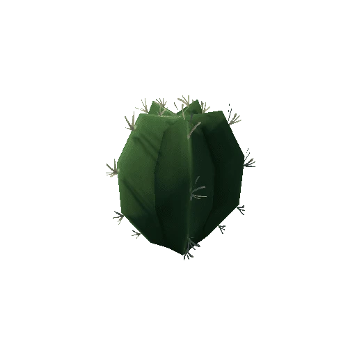 Cactus3_5