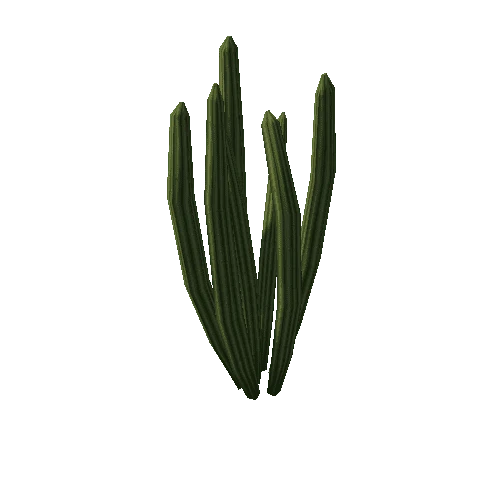 Cactus4_2