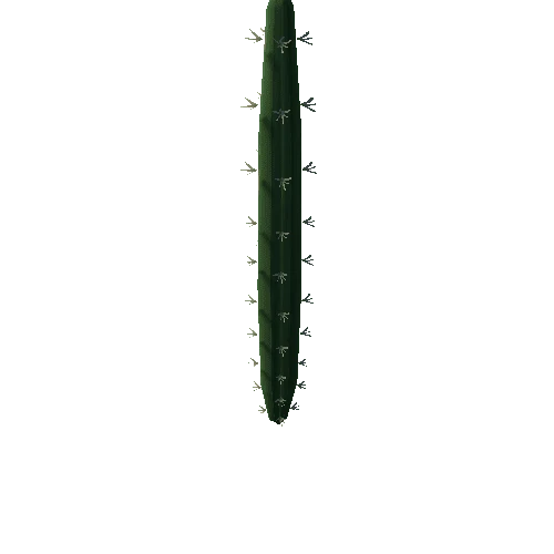 Cactus4_4