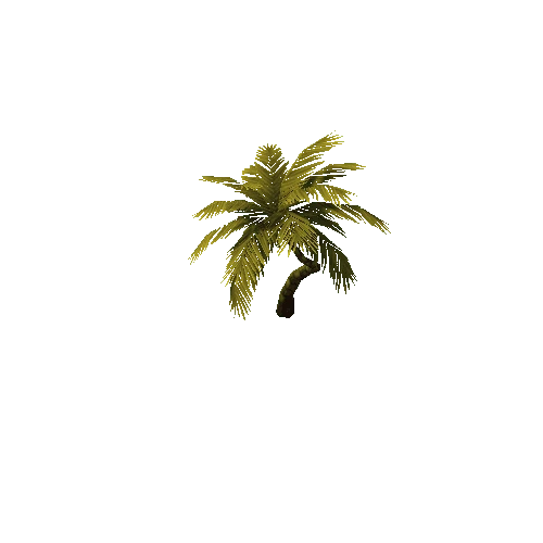 Palm3_11