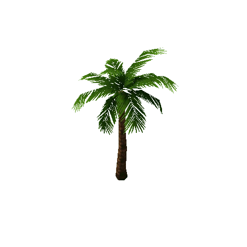 Palm3_4