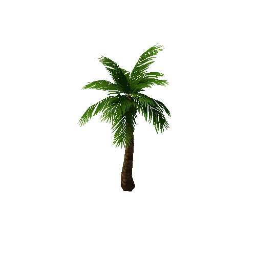 Palm3_5