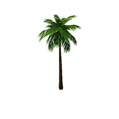 Palm3_8