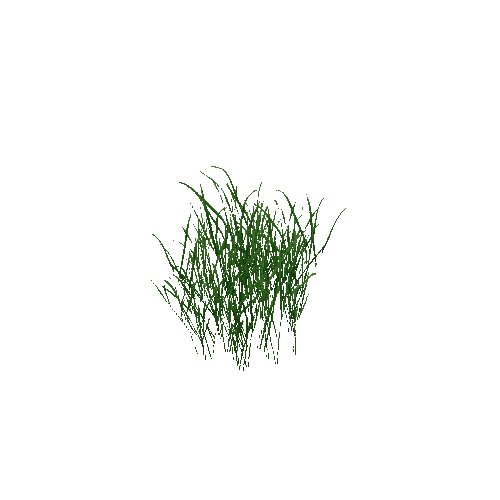 BigGreenGrassDetail03