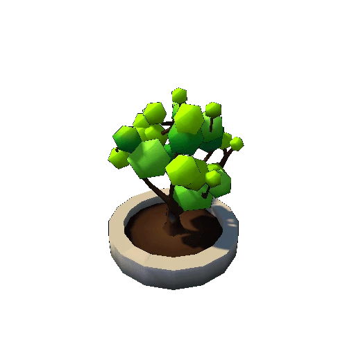 Tree_6B