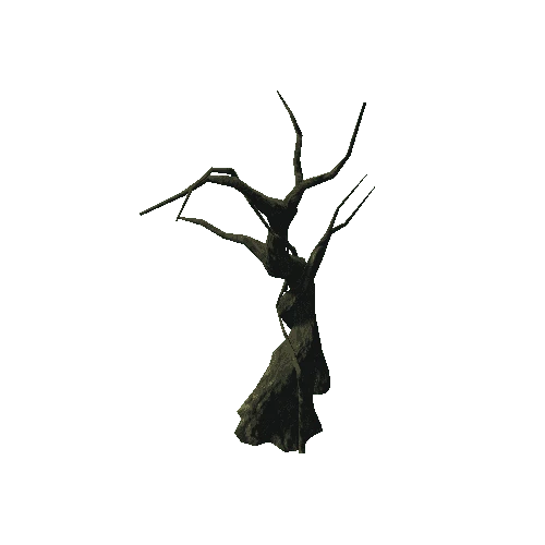 Tree_SPR_VariationTree_04_SM