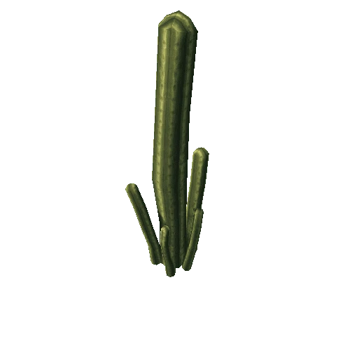 cactus_a