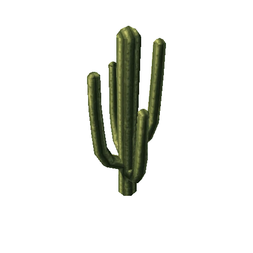 cactus_b