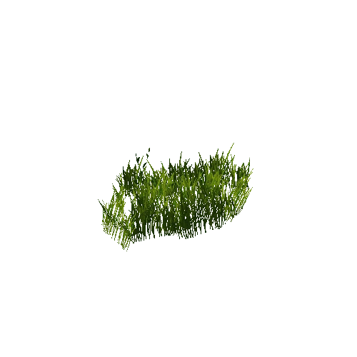 grass_a