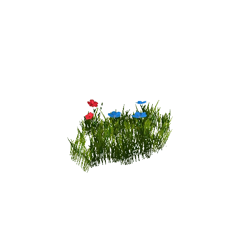 grass_c