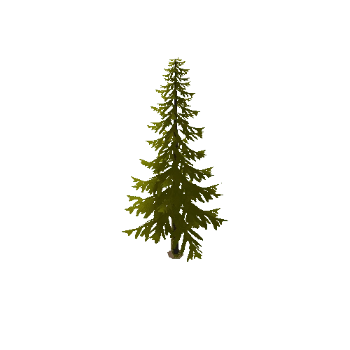 pine_tree_a