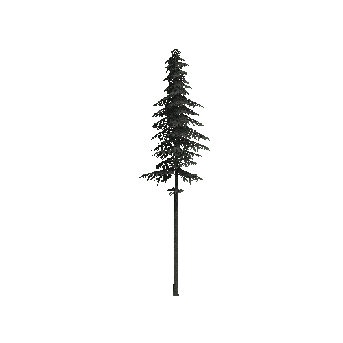 ConiferTreeBig01LOD2