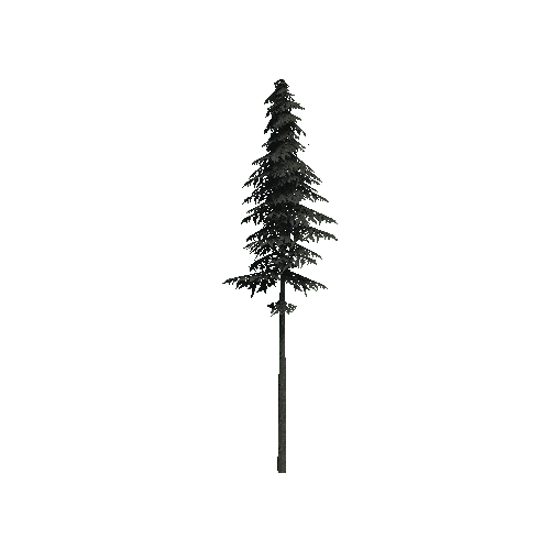 ConiferTreeBig01LOD3