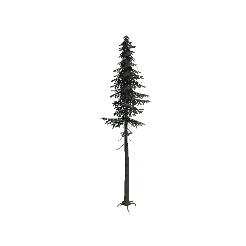 ConiferTreeBig01_Optimized