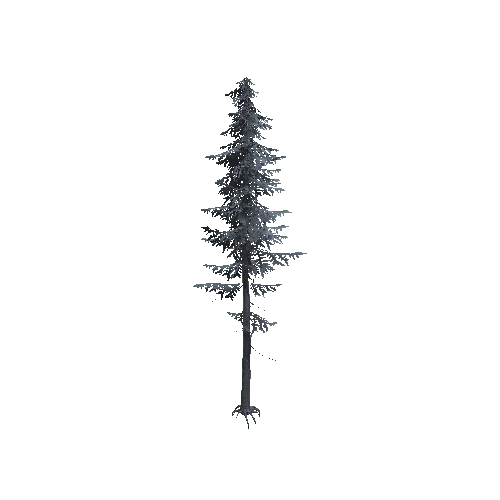 ConiferTreeBig02_