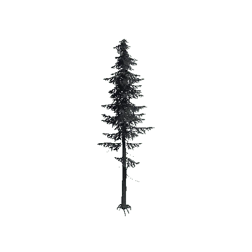 ConiferTreeBig02_Optimized