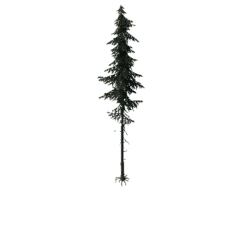 ConiferTreeBig03LOD0