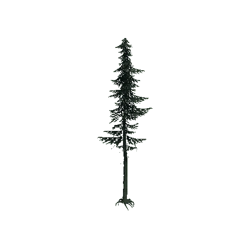 ConiferTreeBig04_Optimized