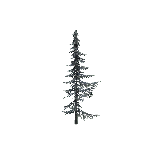 ConiferTreeSmall01_