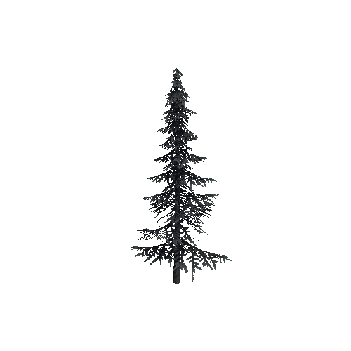 ConiferTreeSmall02_Optimized