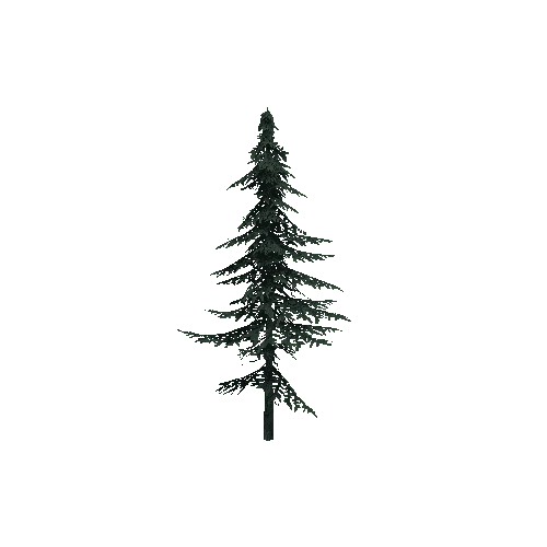 ConiferTreeSmall03