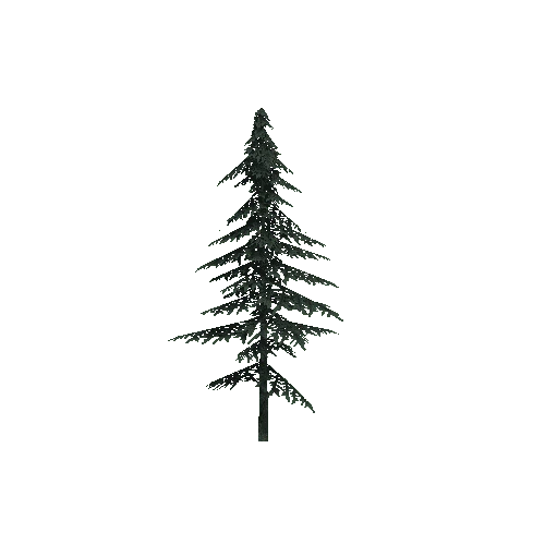 ConiferTreeSmall03LOD3