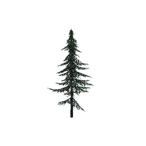 ConiferTreeSmall03_Optimized