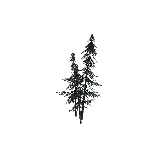 ConiferTreesGroup01LOD1