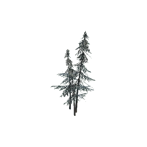 ConiferTreesGroup01_