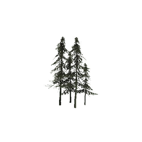 ConiferTreesGroup02