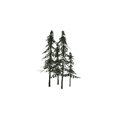 ConiferTreesGroup02LOD0