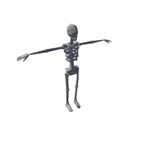 man-skeleton