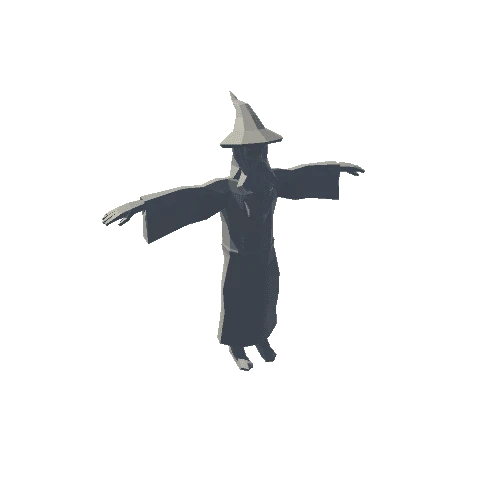 man_wizard_Rig