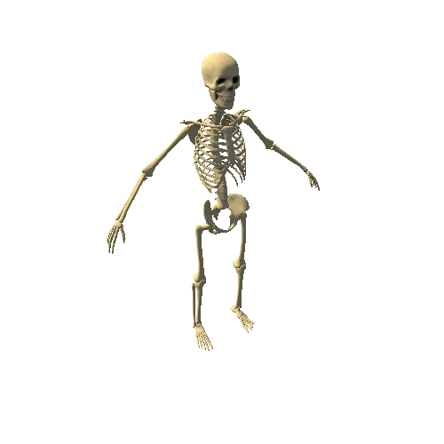 Old_Skeleton