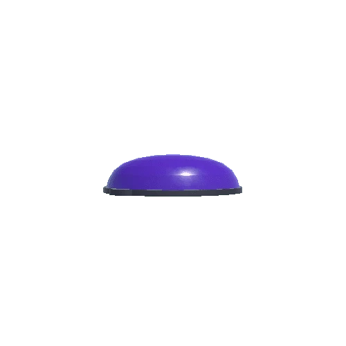 SM_Bosu_Ball_Purple_05