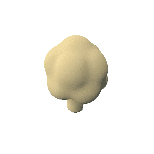 Cauliflower_01