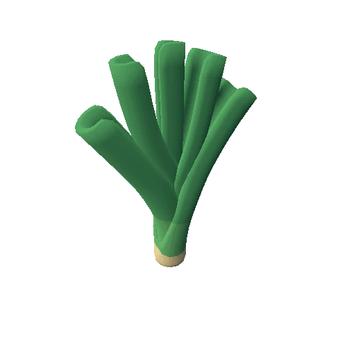 Leek_02