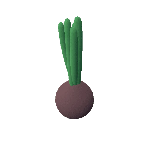 Onion_01