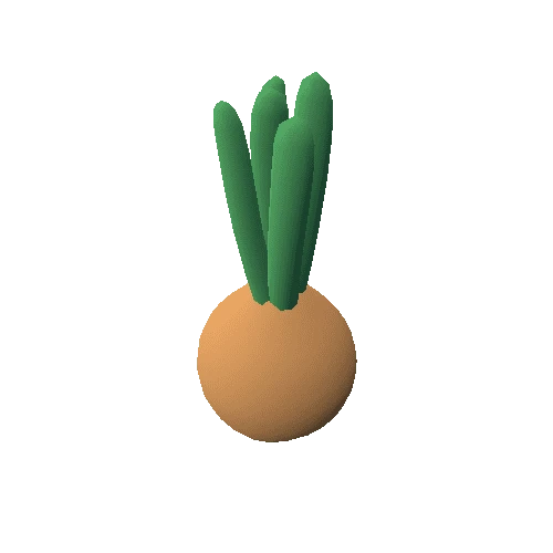 Onion_02