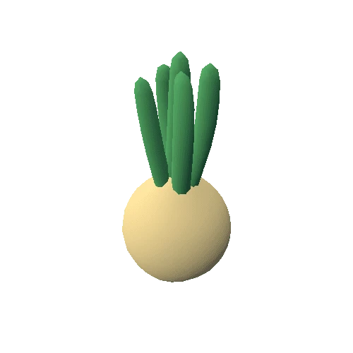 Onion_03