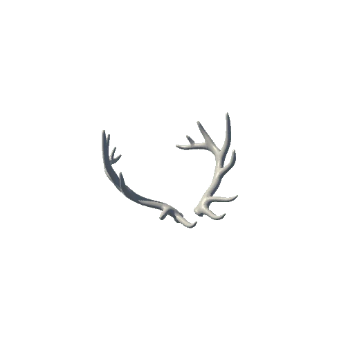 Elk_Antlers_08