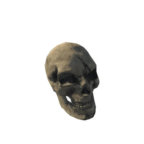 Skull