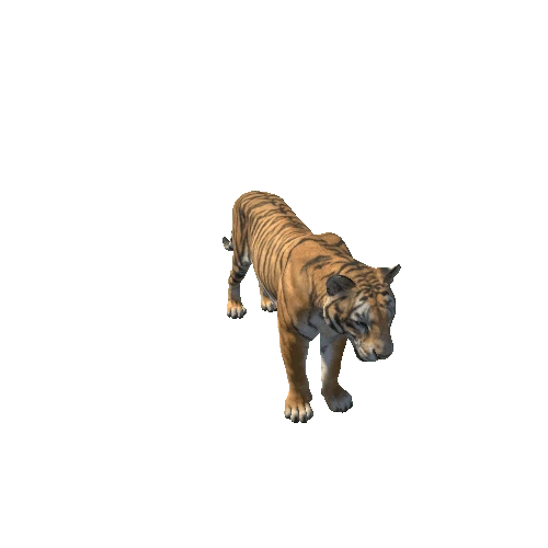 Tiger_M_GrowMesh