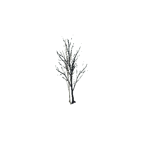 Tree_01